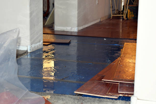 Professional Basement Flood Cleanup technician working in Gervais, OR